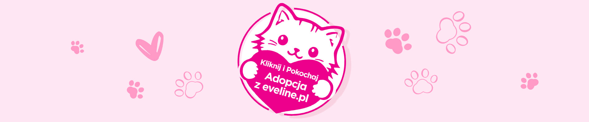 Dzień Kota z Eveline Cosmetics - Kliknij i Pokochaj