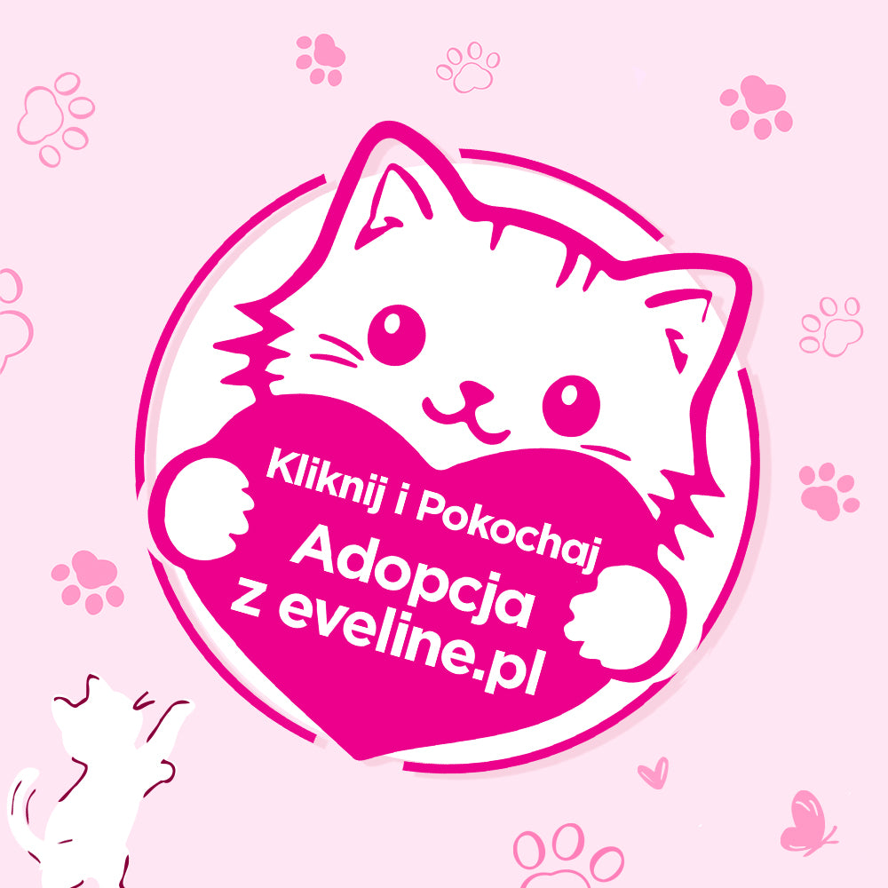 Kliknij i Pokochaj - Adopcja kotów z evalinopl.com